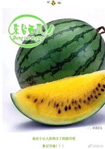 吃瓜群名称集合,一场场热议背后的故事与真相