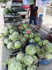 广州风暴吃瓜事件,揭秘网络舆论的风暴眼