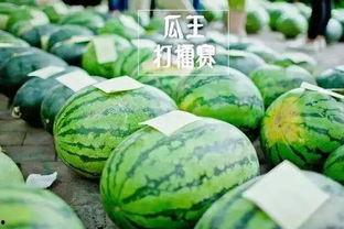 吃瓜擂台,揭秘娱乐圈幕后风云