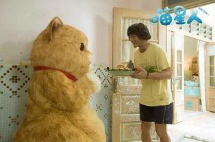 吃瓜喵主,揭秘娱乐圈那些不为人知的幕后故事