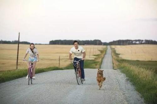 空闲时间吃瓜,乐享生活瞬间