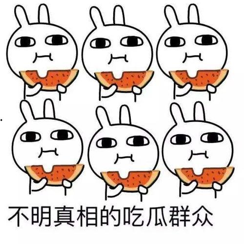 吃瓜无奈,揭秘娱乐圈背后的真相与无奈