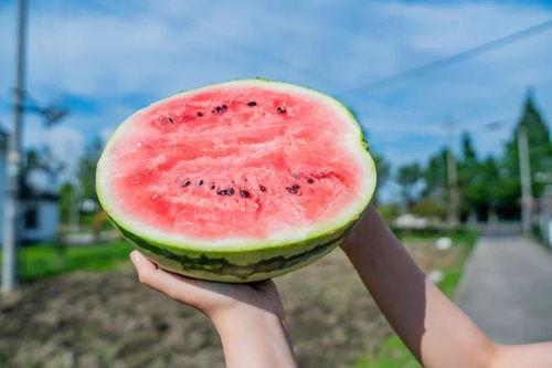 吃瓜打卡致青春